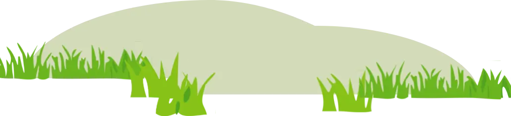 ground