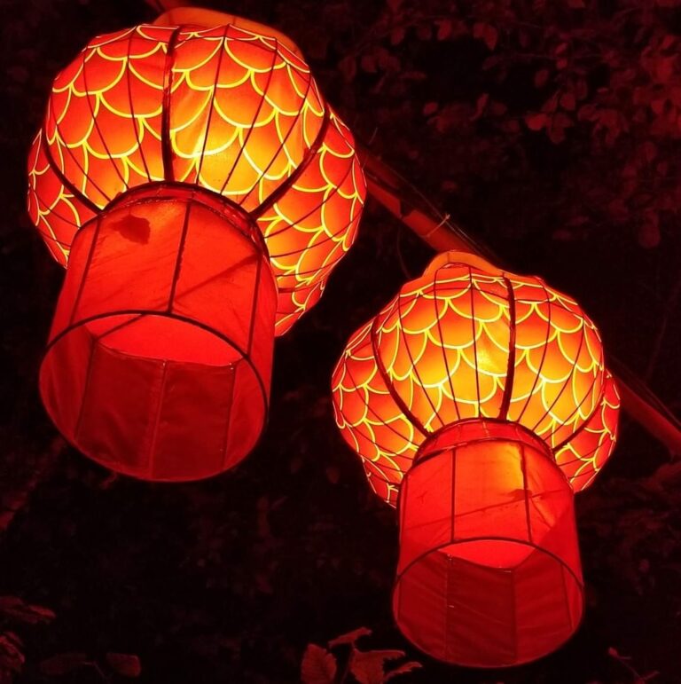 Dragon Lights Reno Nevada Health Link Official site