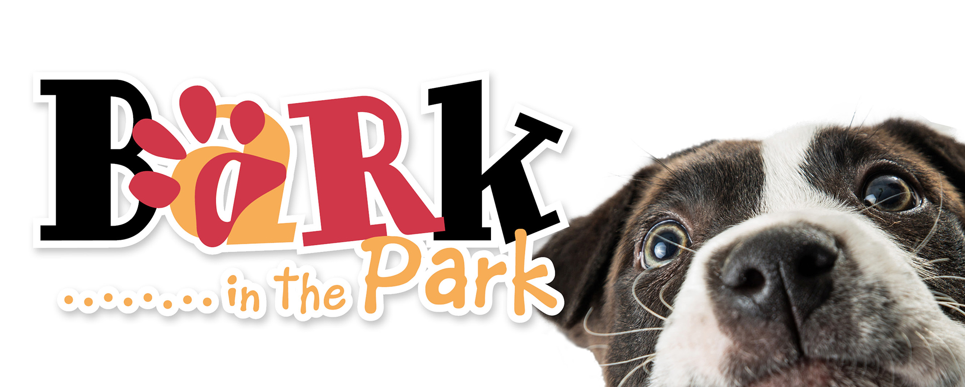 City of Henderson Bark in the Park Nevada Health Link Official Website